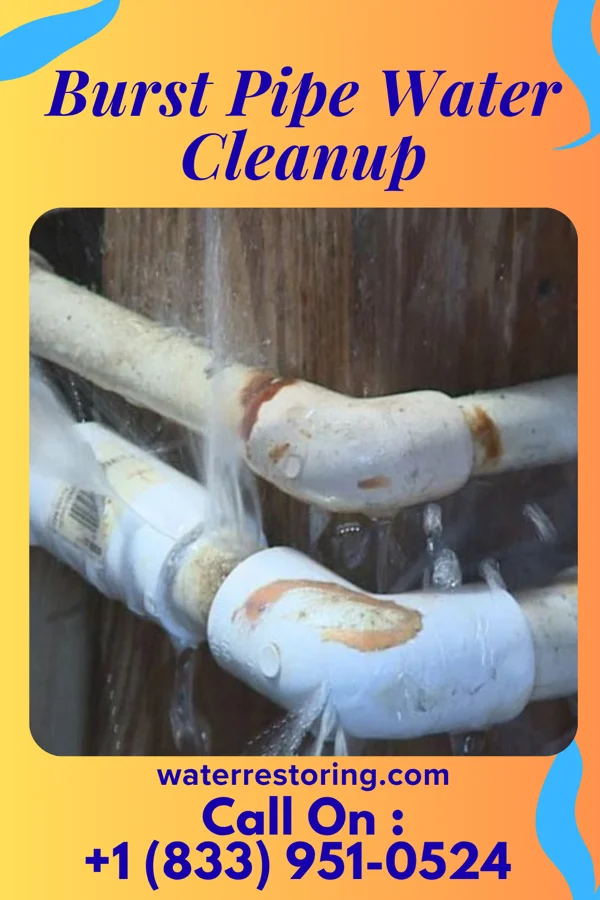 Burst Pipe Water Cleanup in La Puente, CA